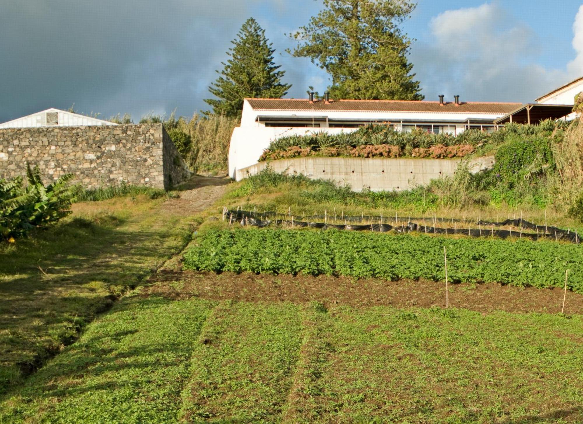 Qva - Quinta Velha Das Amoreiras Vila Franca do Campo Ngoại thất bức ảnh